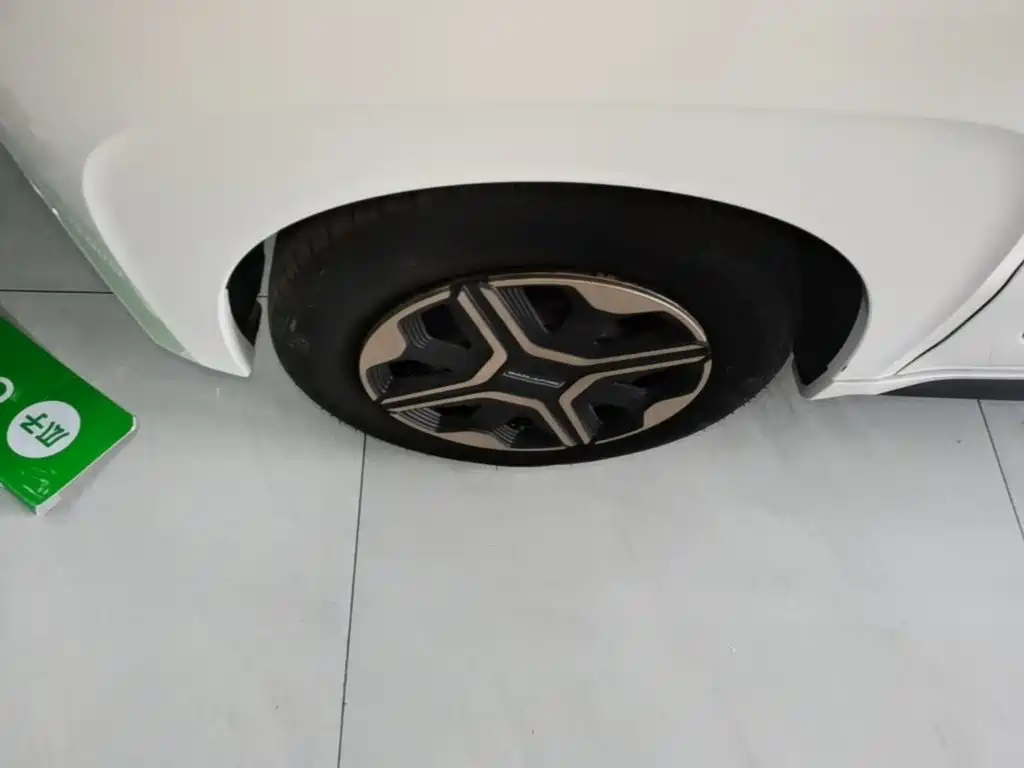 Baojun E200 2021 2020 305KM Smart Edition