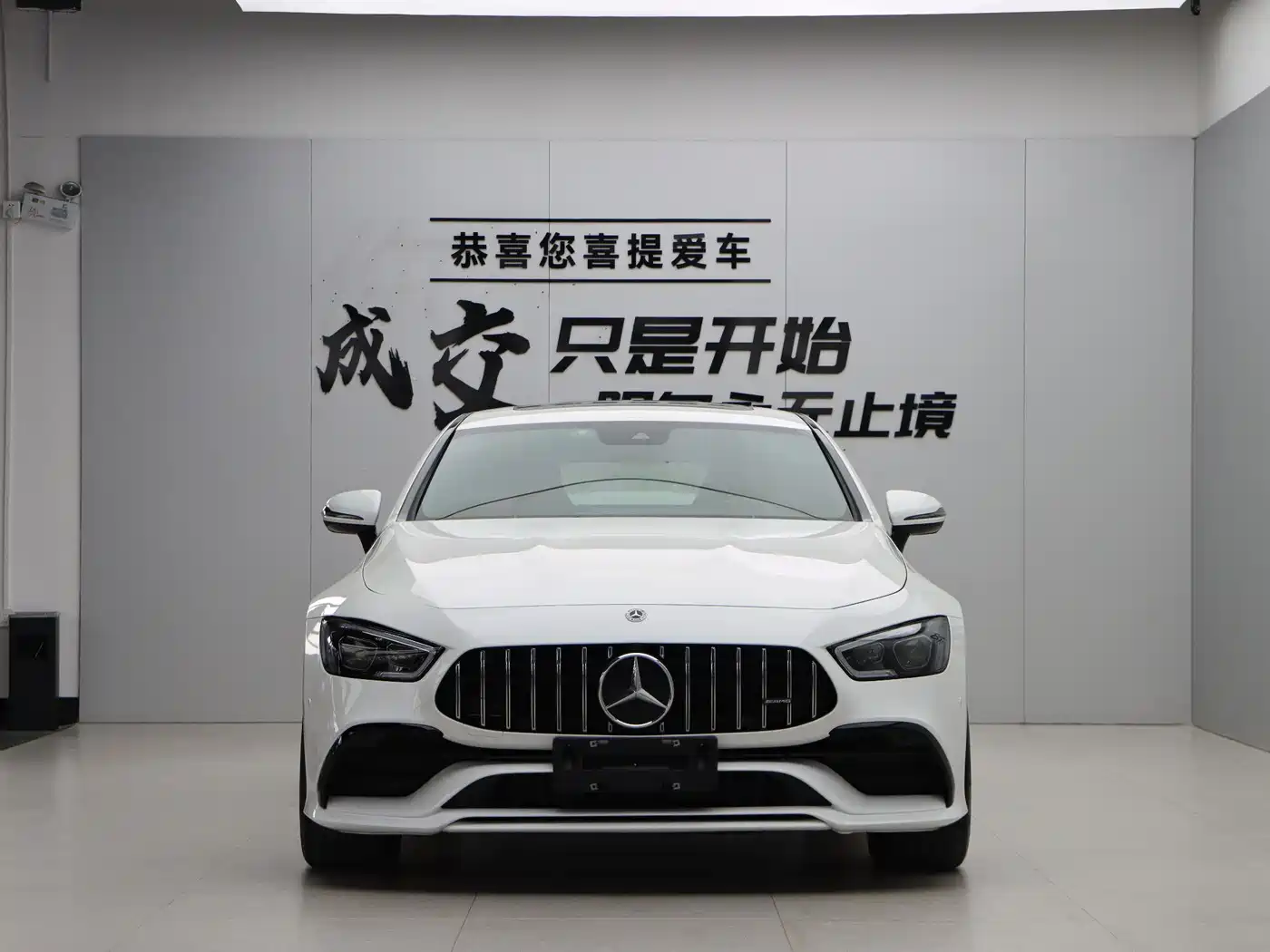 Mercedes-Benz AMG GT 2019 AMG GT 50 4-Door Coupe фото 2