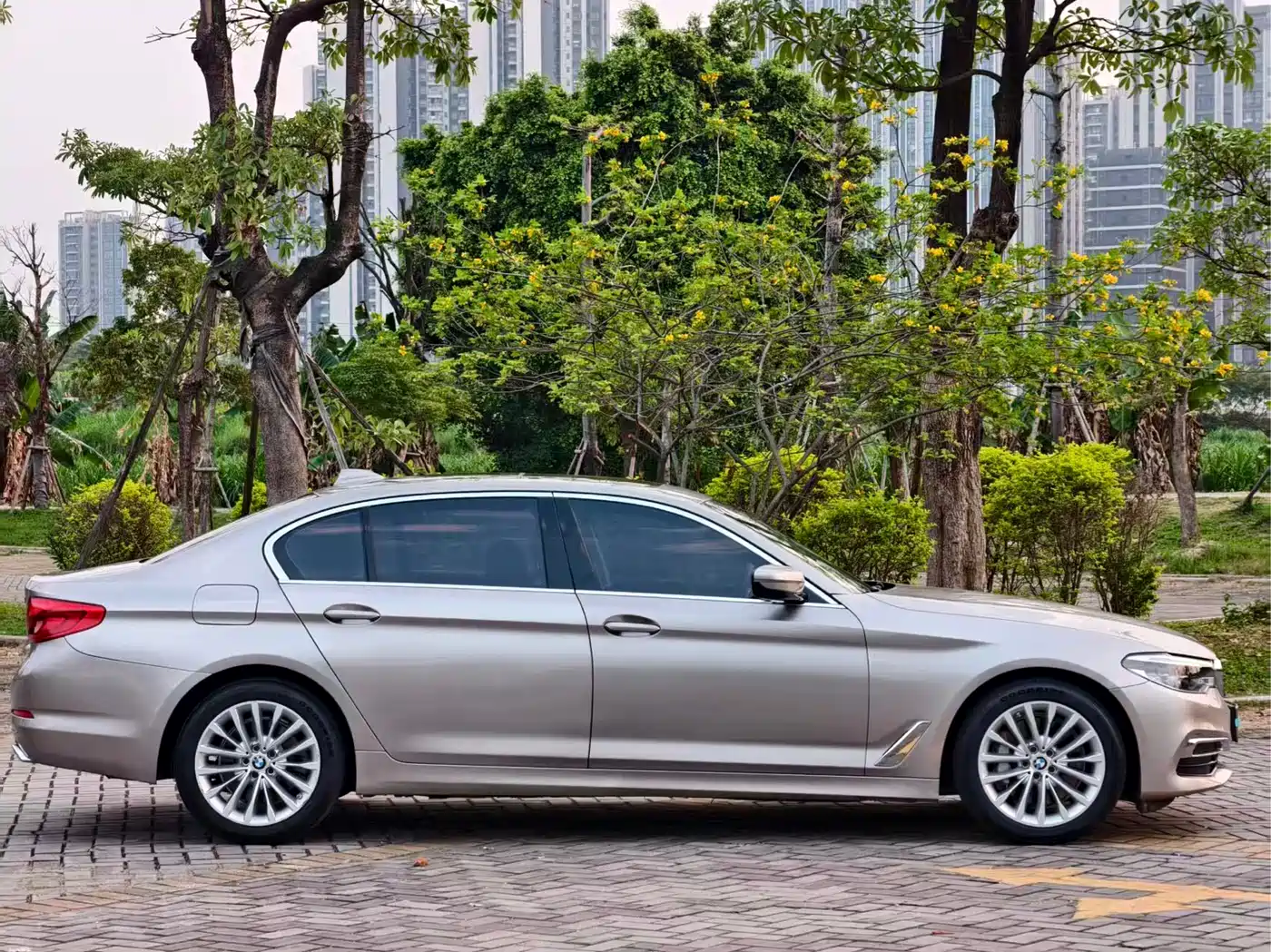 BMW 5 Series 2020 530Li Leading Luxury Package фото 8