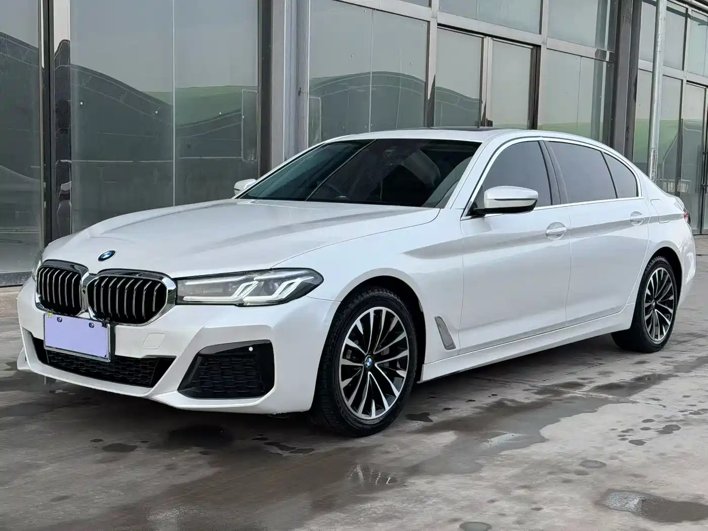 BMW 5 Series 2020 530Li Leading Luxury Package