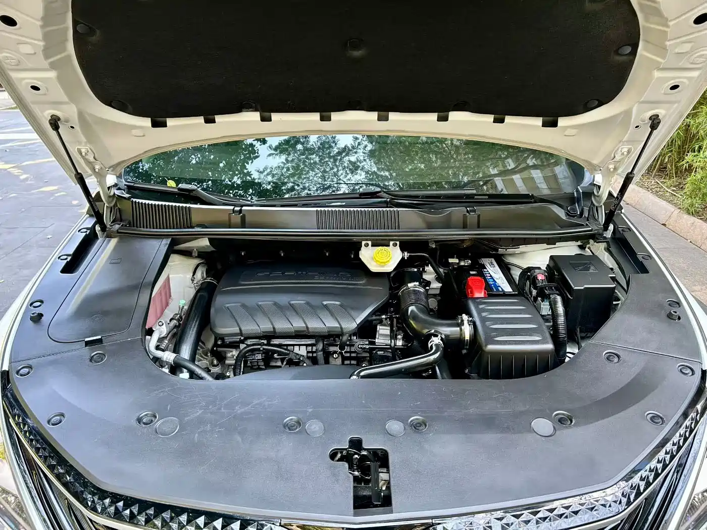 DONGFENG POPULAR YACHTS