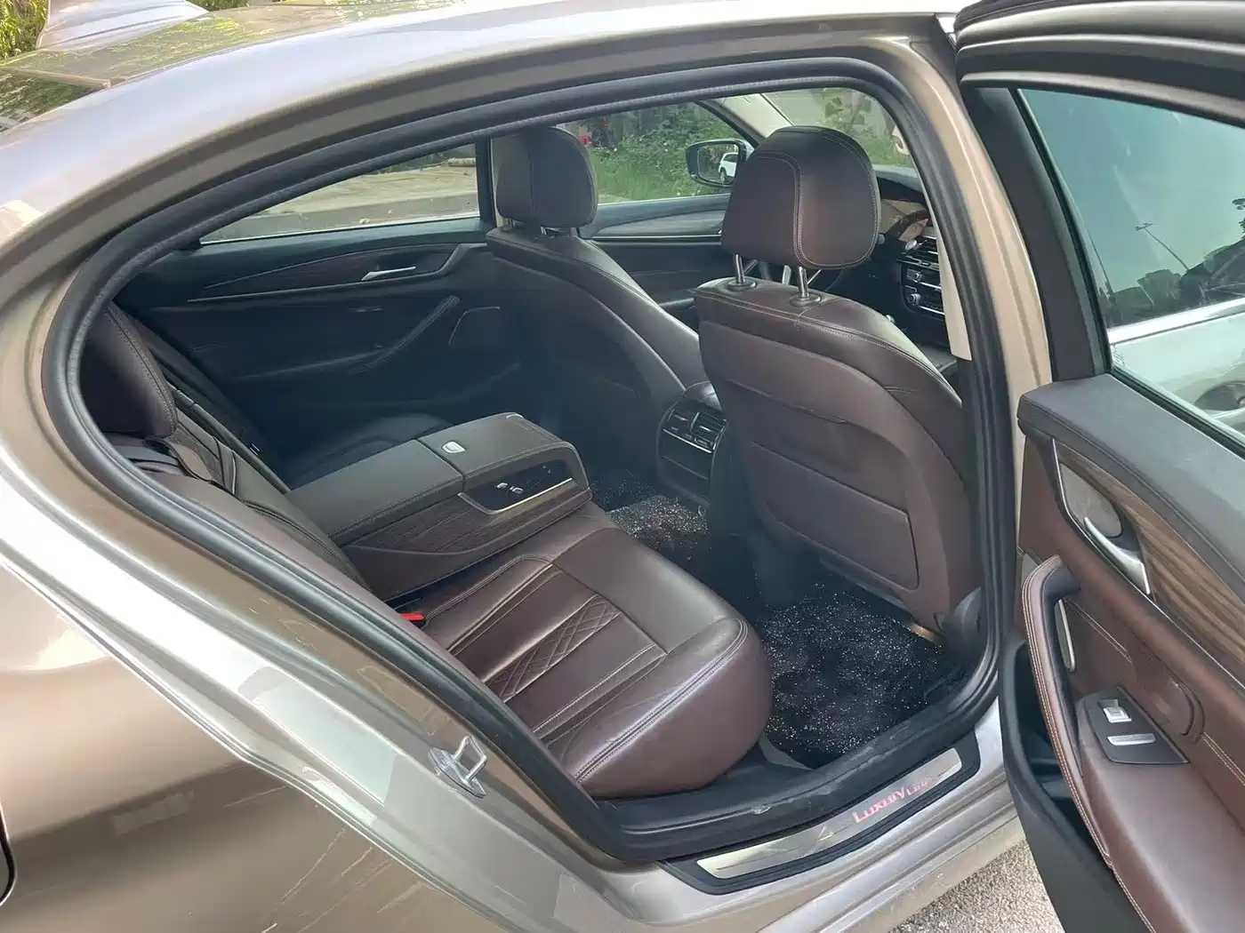 BMW 5 Series 2019 530Li Leading Luxury Package фото 7