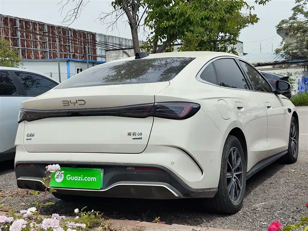 BYD Seal 06 New Energy 2025 DM-i Smart Drive Edition 120KM Luxury фото 5