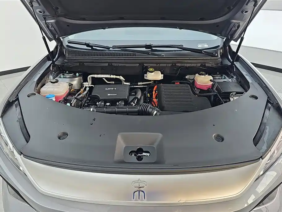 BYD Song Pro New Energy 2025 2nd Gen DM-i 115KM Excellence фото 10