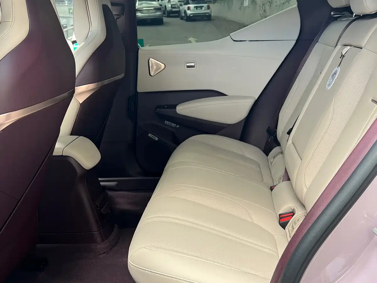 ZEEKR X 2025 2025 5-Seater RWD Edition
