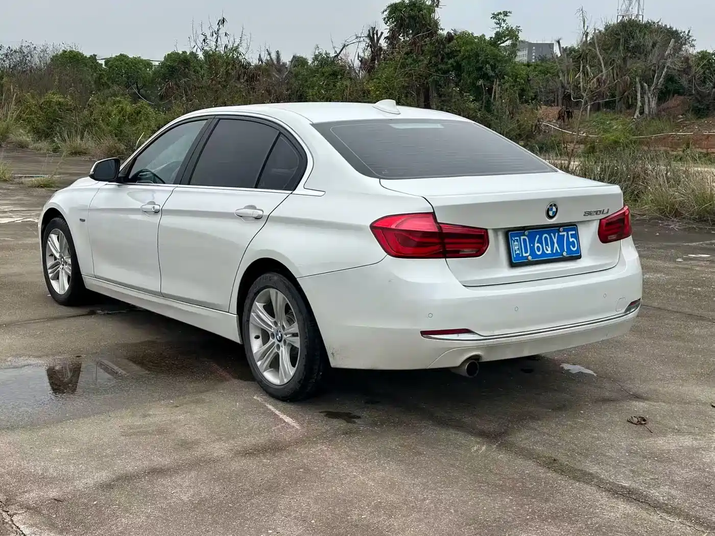 BMW 3 Series 2016 320Li Luxury Design Package фото 4