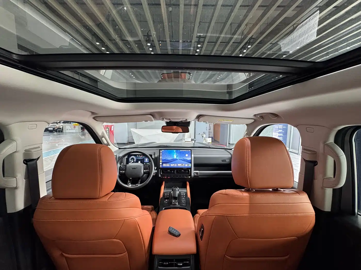 Haval H9 2024 2.0T Gasoline AWD Extreme Edition фото 15