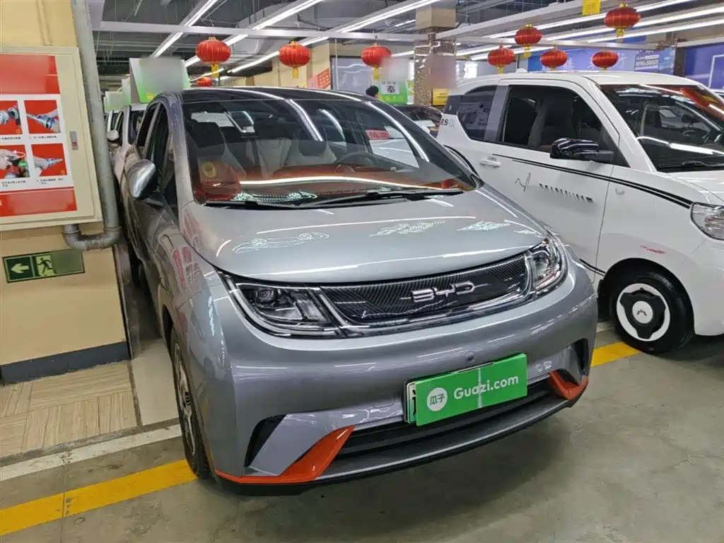 BYD Dolphin 2021 Model 405km Fashion Edition фото 4
