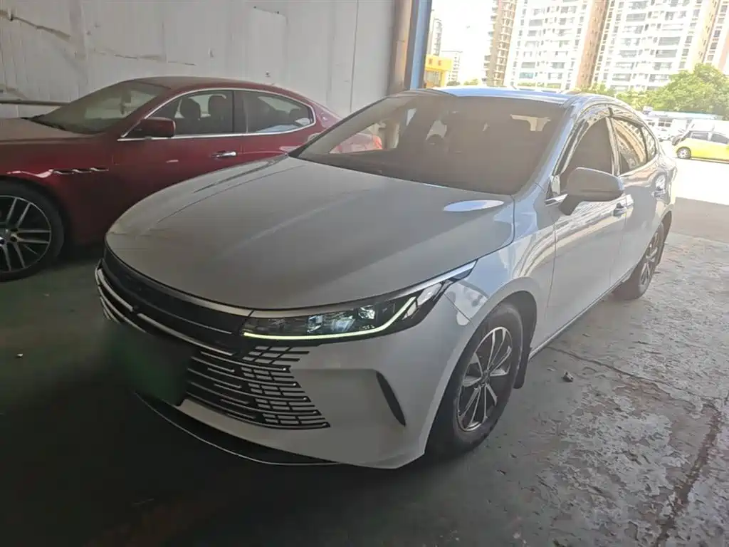 BYD Destroyer 05 2024 Glory Edition DM-i 55KM Luxury