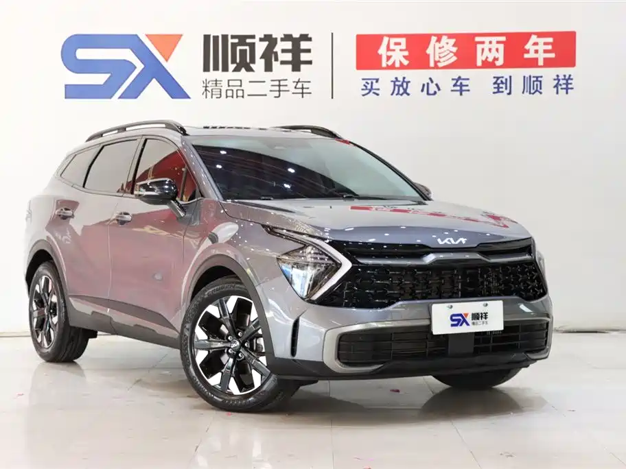 KIA LION PLATINUM EXPANDS THE WORLD