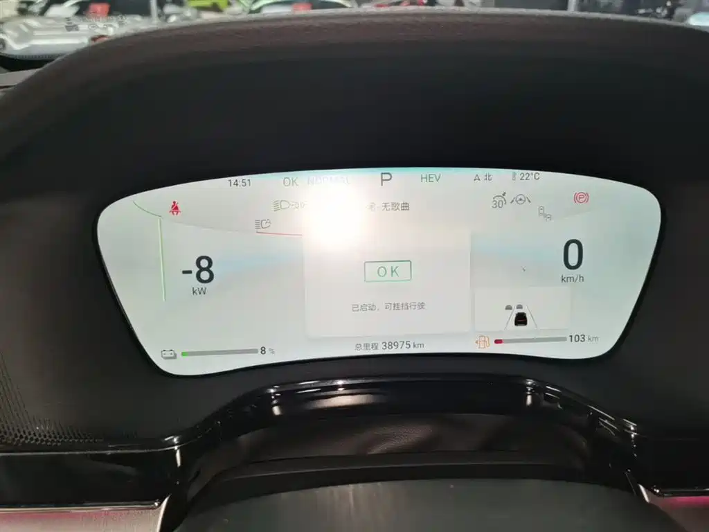 BYD Tang New Energy 2024 DM-p Glory Edition 215KM AWD Premium фото 12