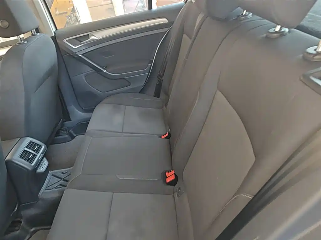 Volkswagen Golf 2019 200TSI DSG Comfort Progressive China VI фото 17
