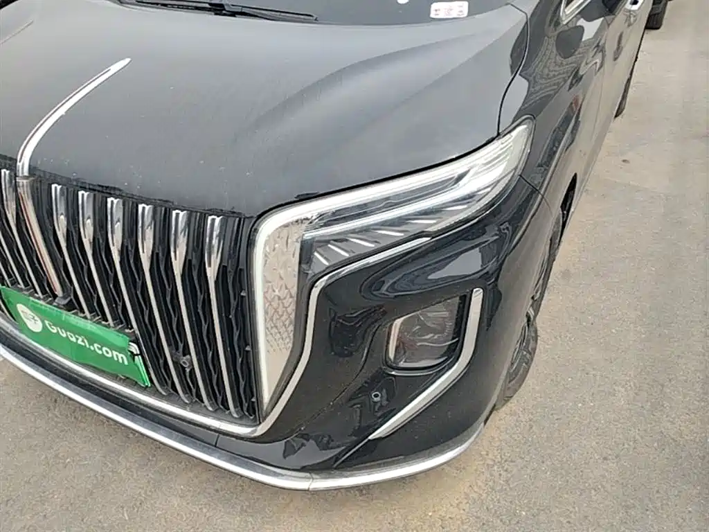 Hongqi HQ9 PHEV 2024 Model 2.0T AWD Business Edition фото 24