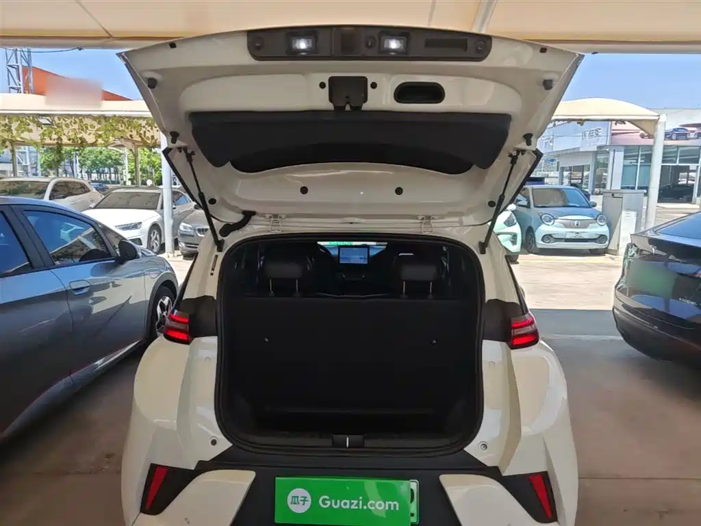 BYD Seagull 2025 305km Vitality фото 19
