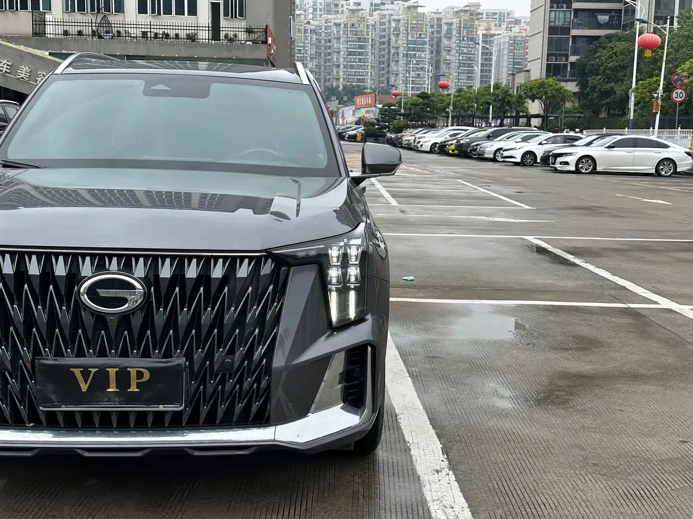 GAC Trumpchi Trumpchi GS8 2022 Dual Engine Series 2.0TM 2WD Premium Edition (6-Seater) фото 6