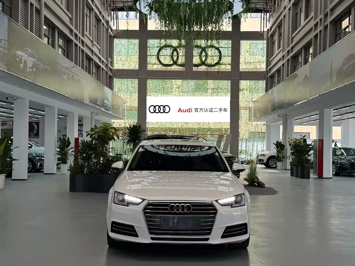 Audi A4L 2018 30th Anniversary 40 TFSI Progressive