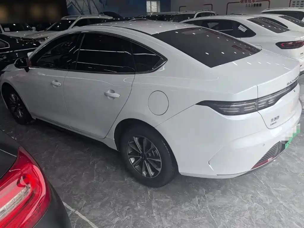 BYD Destroyer 05 2024 Glory Edition DM-i 55KM Luxury фото 5