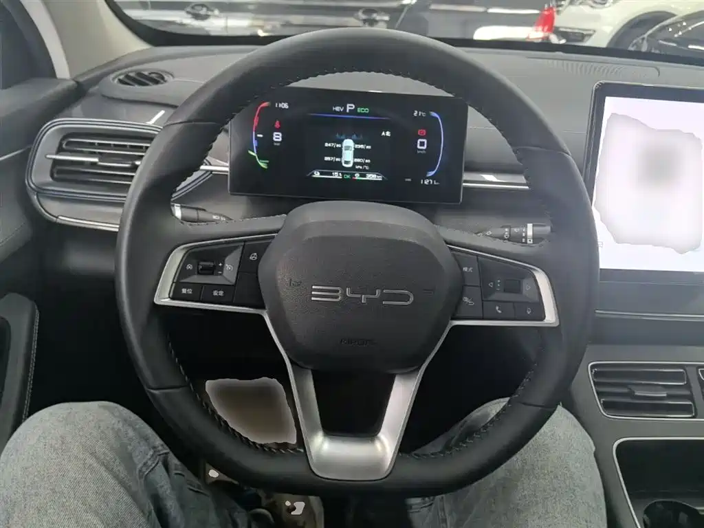 BYD Destroyer 05 2024 Glory Edition DM-i 55KM Luxury фото 11