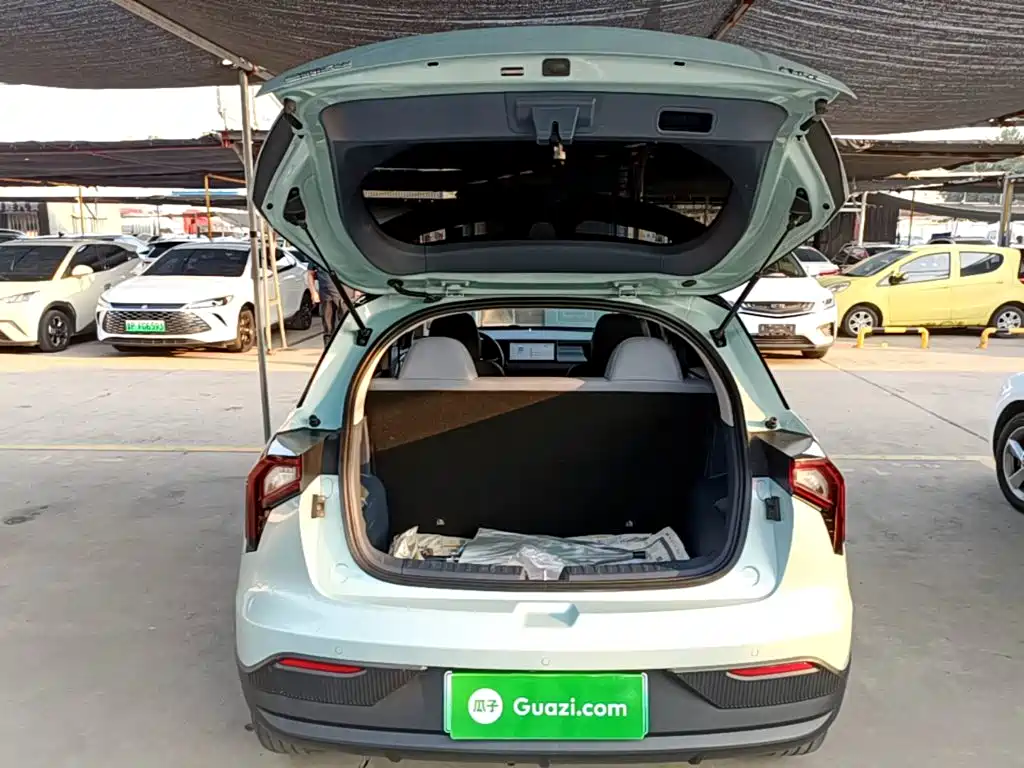 Geely Geometry E Firefly 2022 2022 401KM Delicate Tiger 4-seater