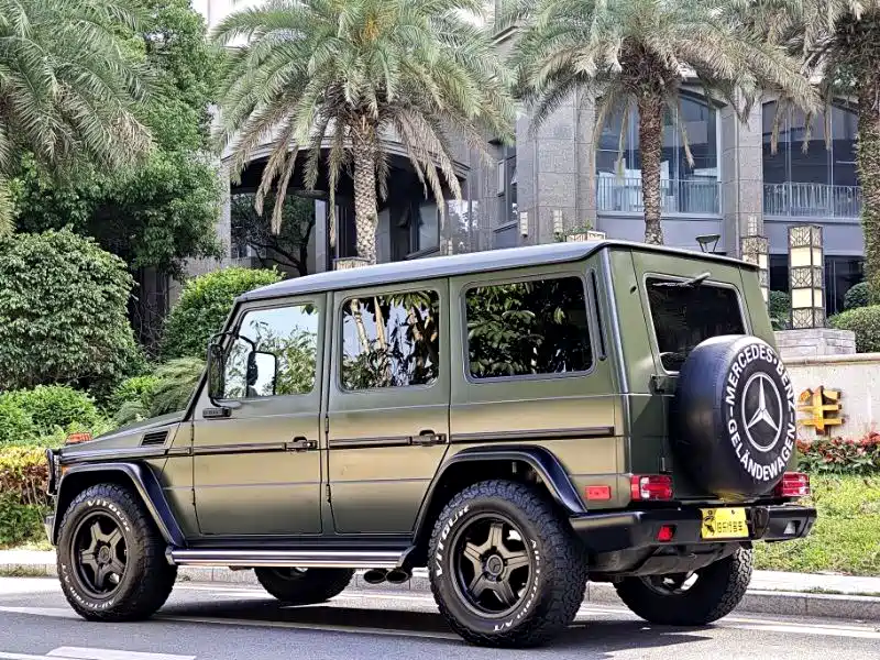 Mercedes-Benz G-Class AMG 2007 AMG G 55 фото 18