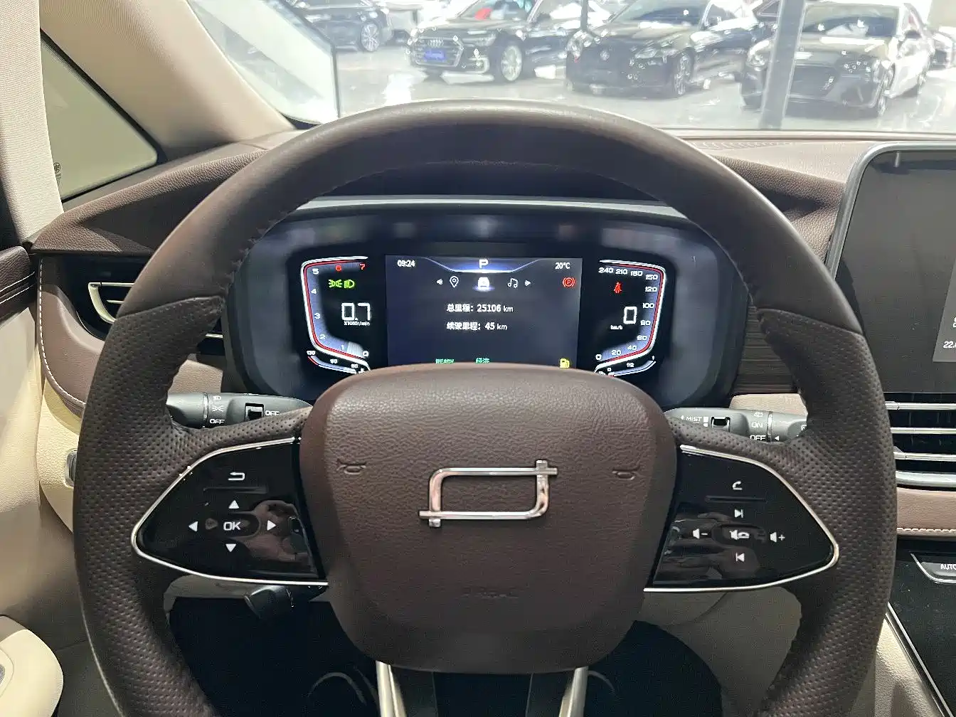 Besturn M9 2023 2.0T Premium 70th Anniversary Edition фото 7