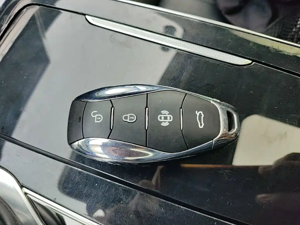 Hongqi H9 2025 2024 2.0T Qi Enjoy Private Fashion Edition