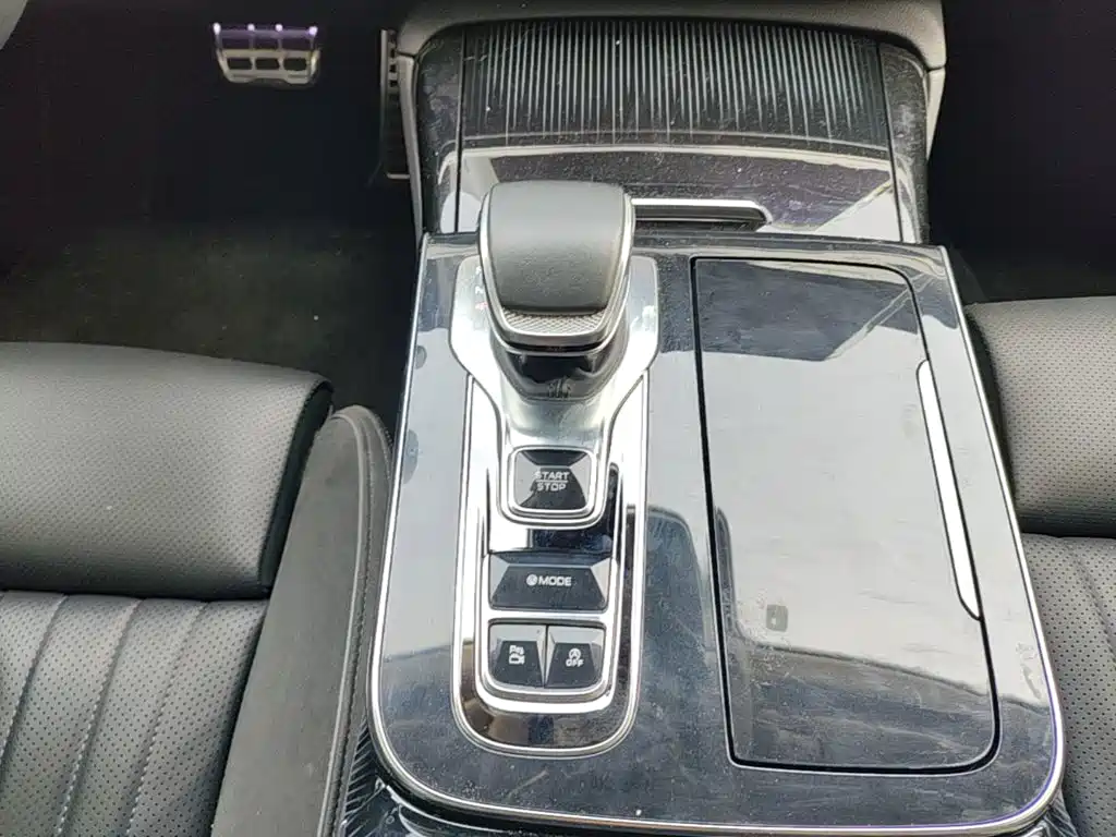Hongqi H9 2025 2024 2.0T Qi Enjoy Private Fashion Edition
