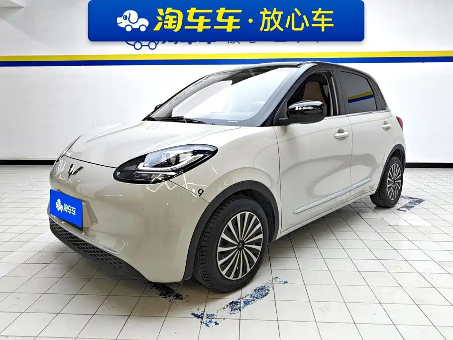 Wuling Motors Wuling Bingo 2023 Model 203km Lite Enjoyment Edition