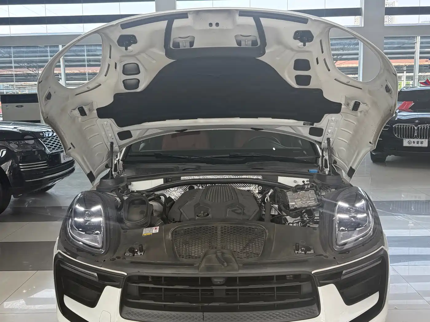 Porsche Macan 2023 Macan 2.0T фото 4
