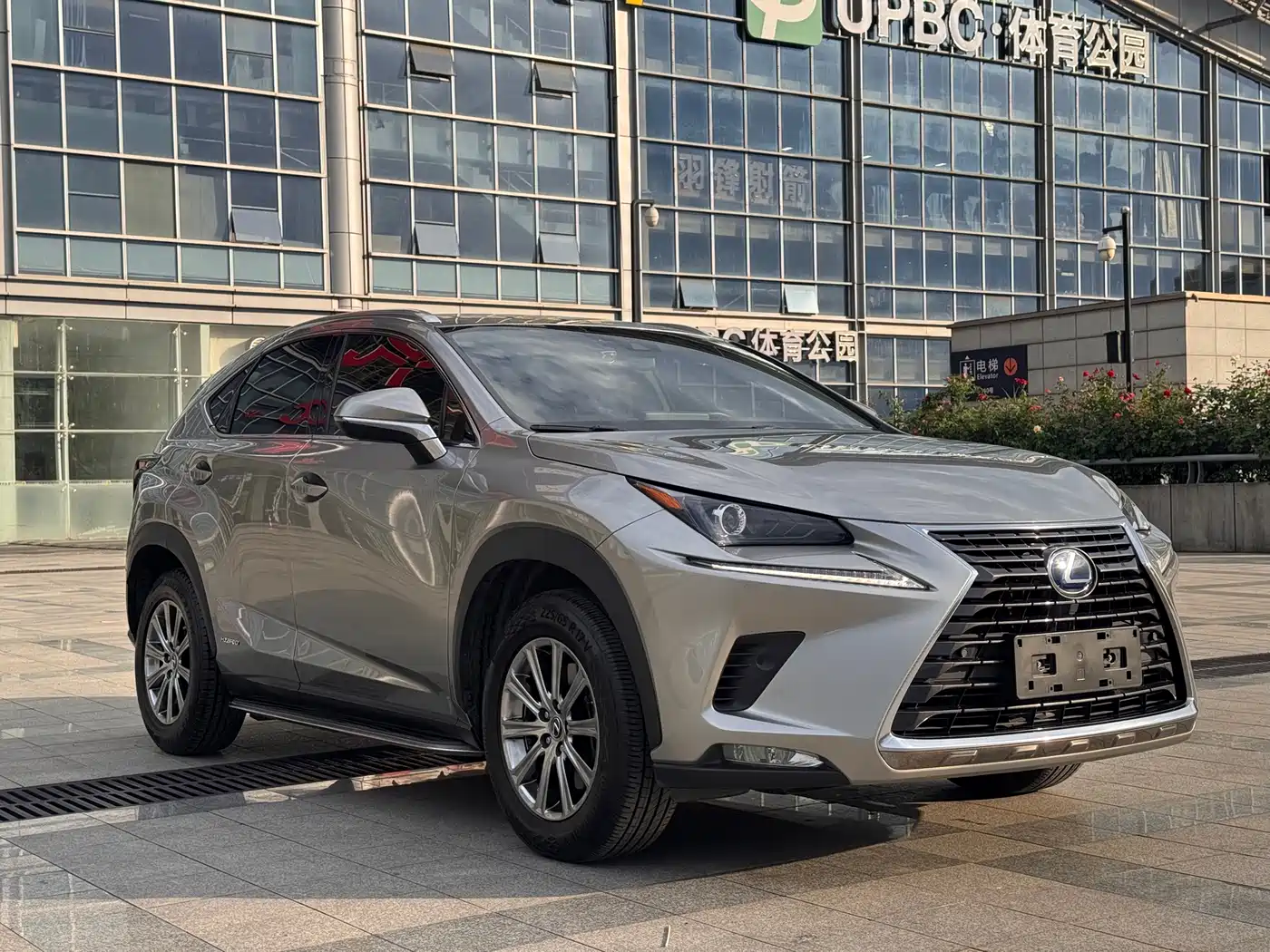 Lexus NX 2020 300 AWD F Sport China V фото 3