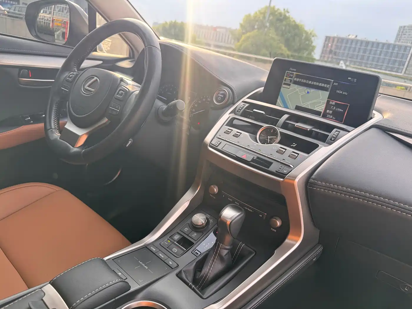 Lexus NX 2020 300 AWD F Sport China V фото 11