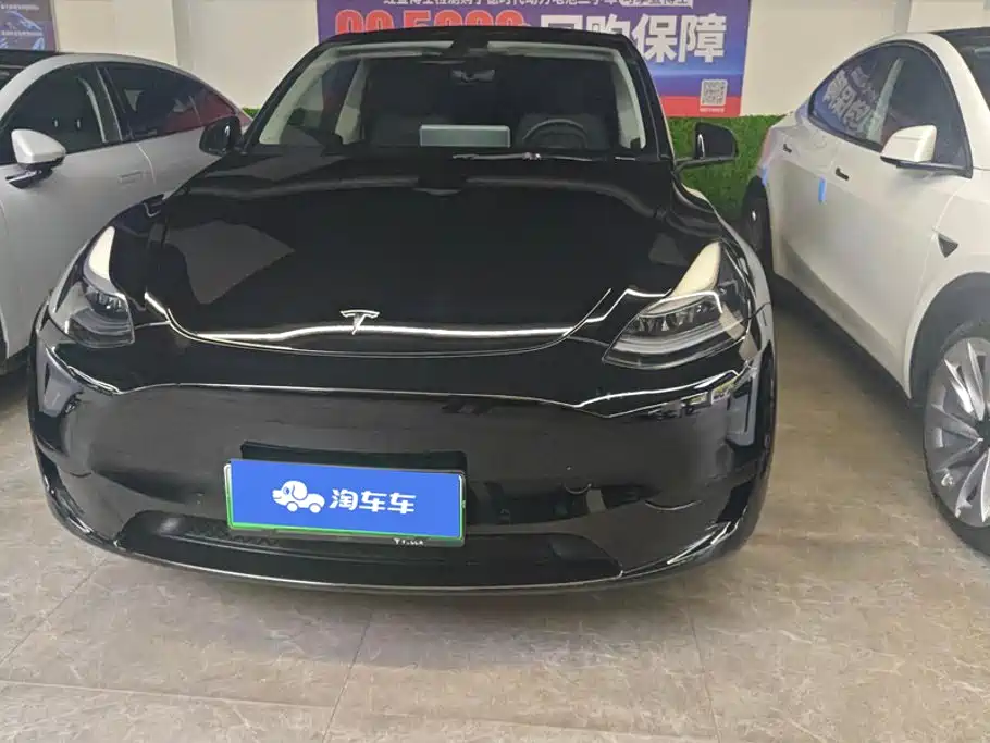 Tesla Model Y 2022 Rear-Wheel Drive Version