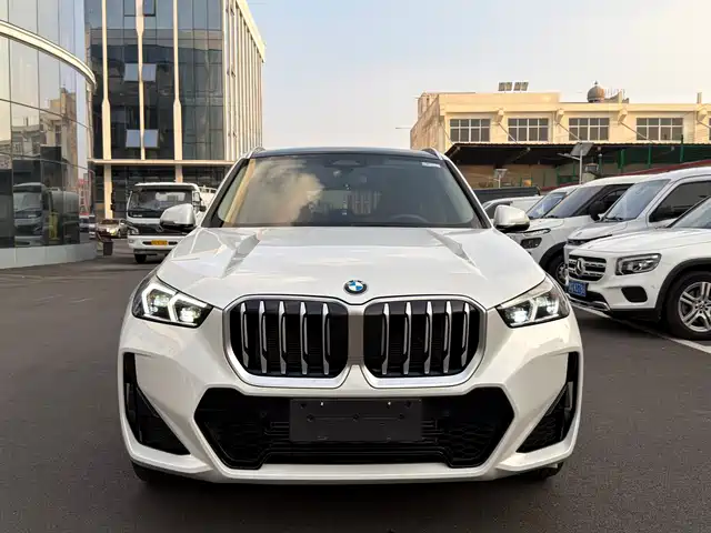 BMW X1 sDrive25Li, M Спорт-пакет