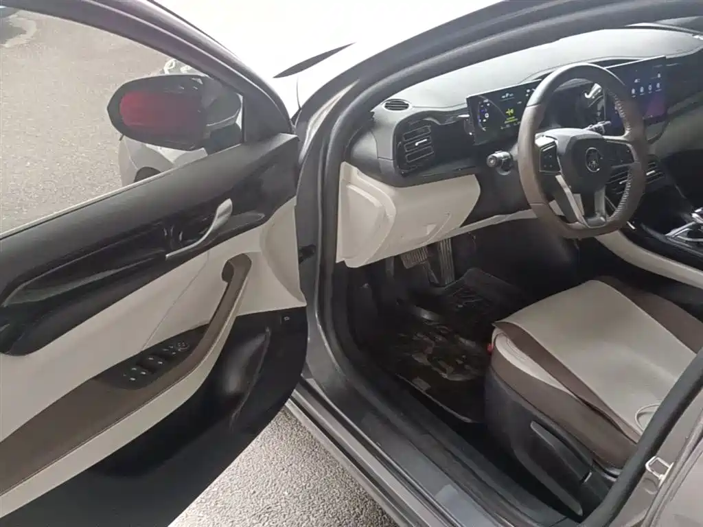BYD Qin PLUS 2024 Glory Edition DM-i 55KM Leading фото 16