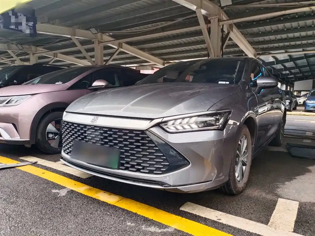 BYD Qin PLUS 2024 Glory Edition DM-i 55KM Leading фото 2
