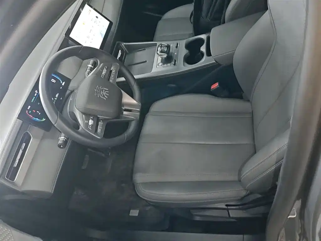 BYD Qin PLUS 2025 DM-i Smart Drive 55KM Leader фото 15