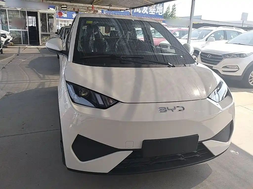 BYD Seagull 2025 305km Vitality фото 3
