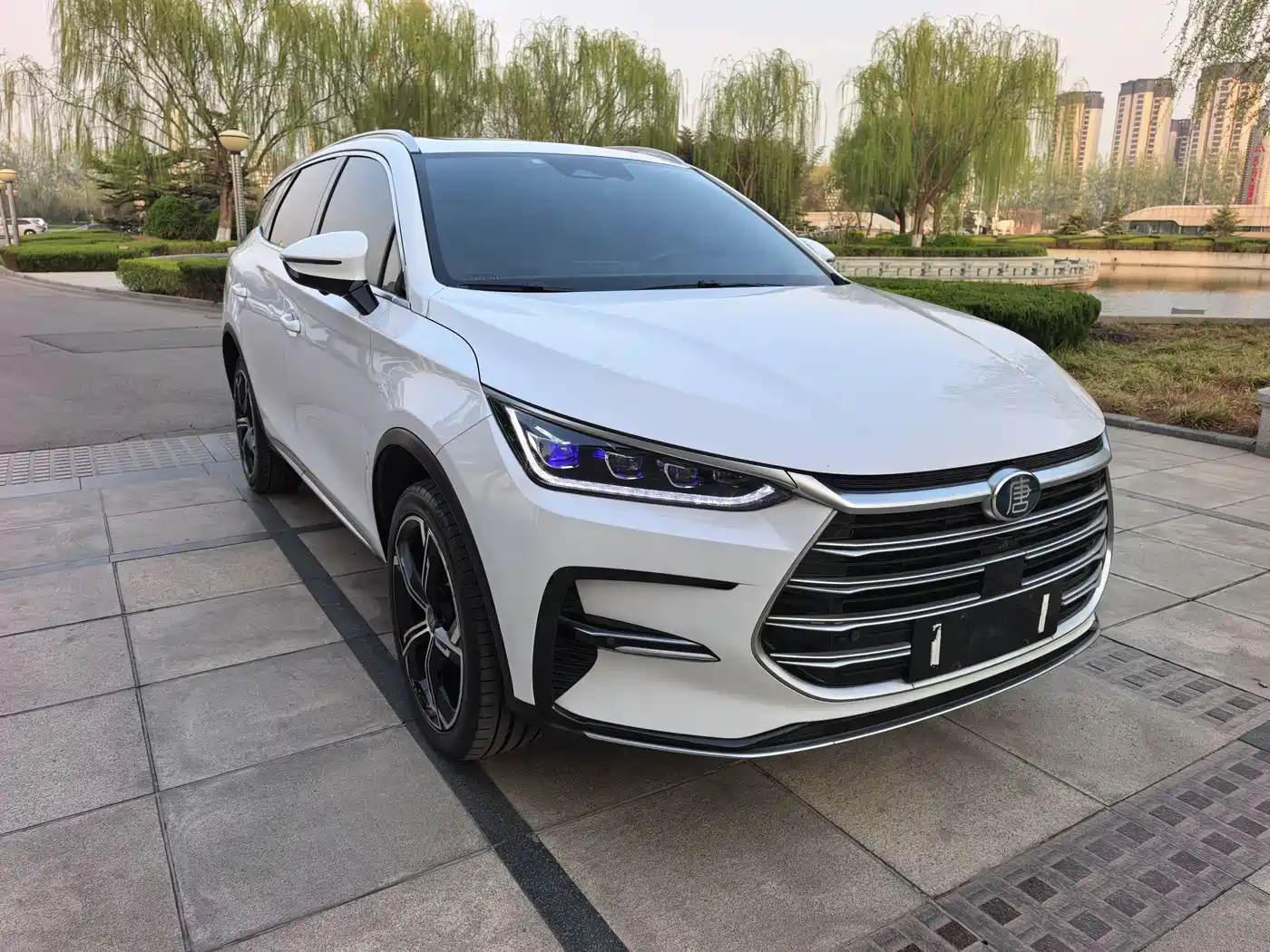 BYD Tang New Energy 2021 DM-i 112KM Premium фото 2