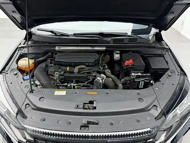 DONGFENG YI HYUN MAX