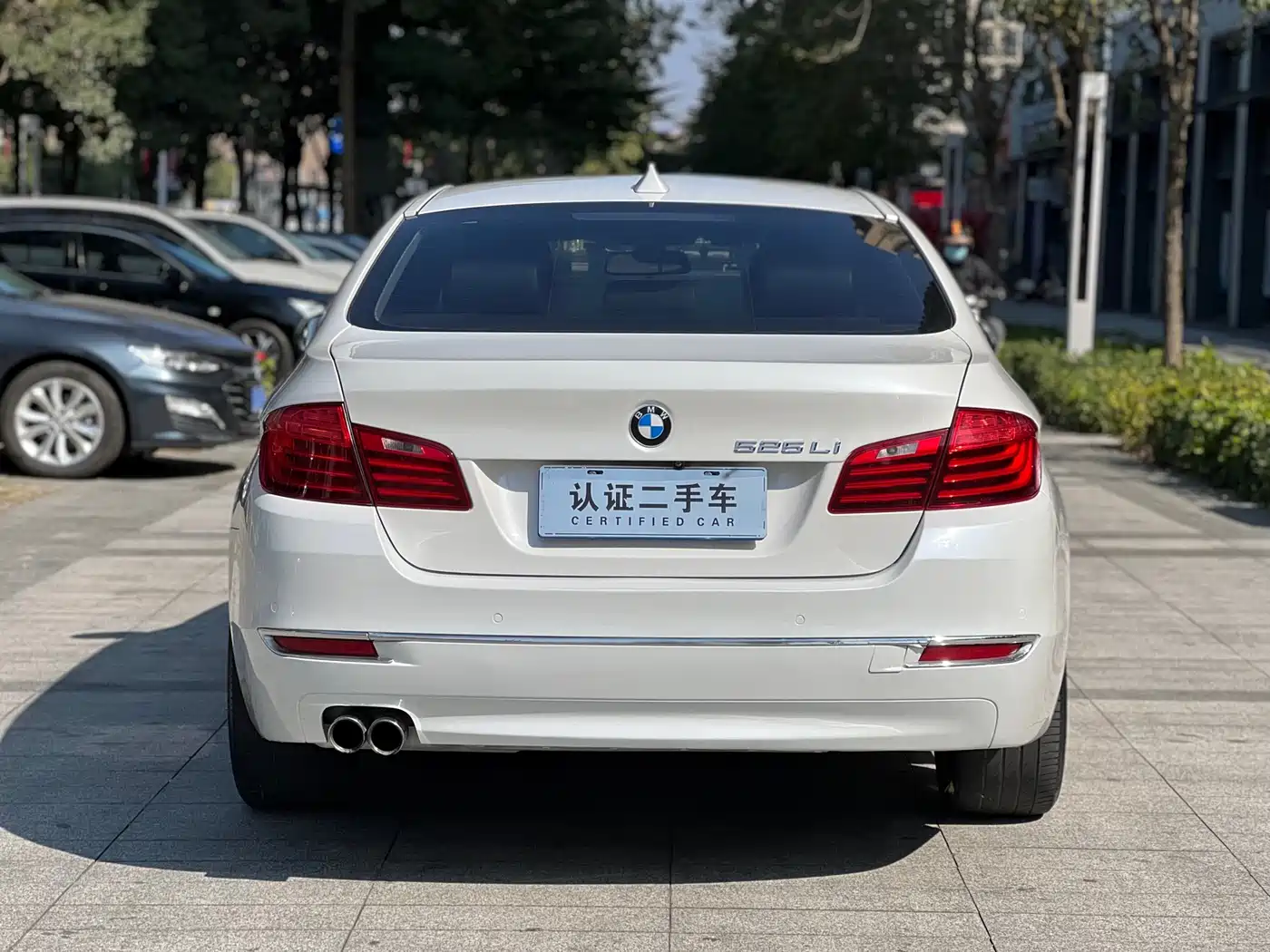 BMW 5 Series 2014 525Li Luxury Design Package фото 4
