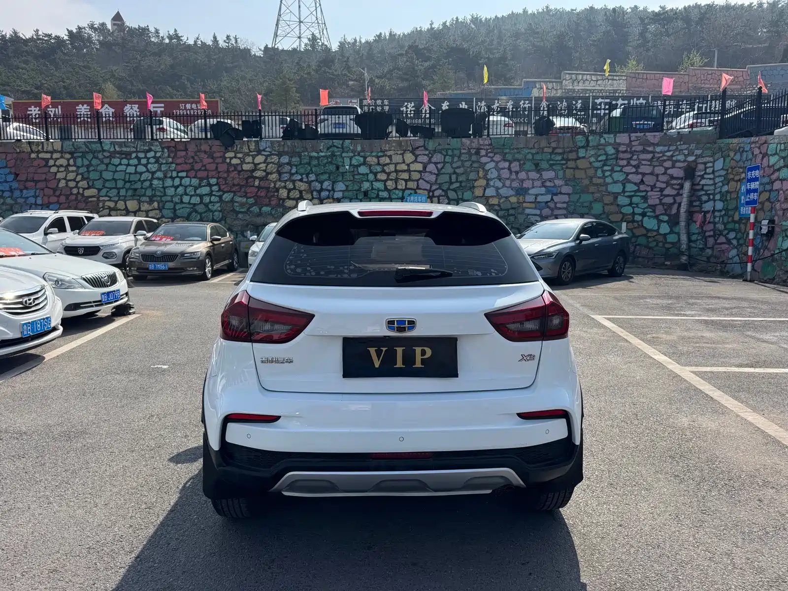 Фото 8 - Geely Vision X3