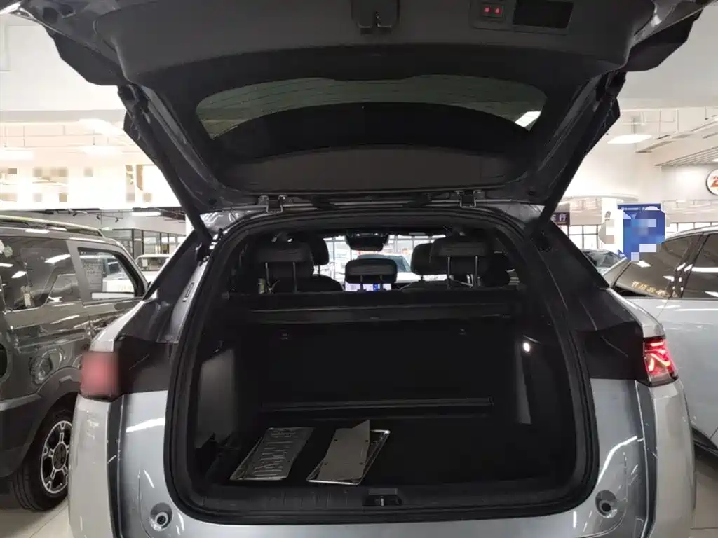BYD Song L DM-i 2025 Smart Driving Edition 160km Excellence Type фото 19
