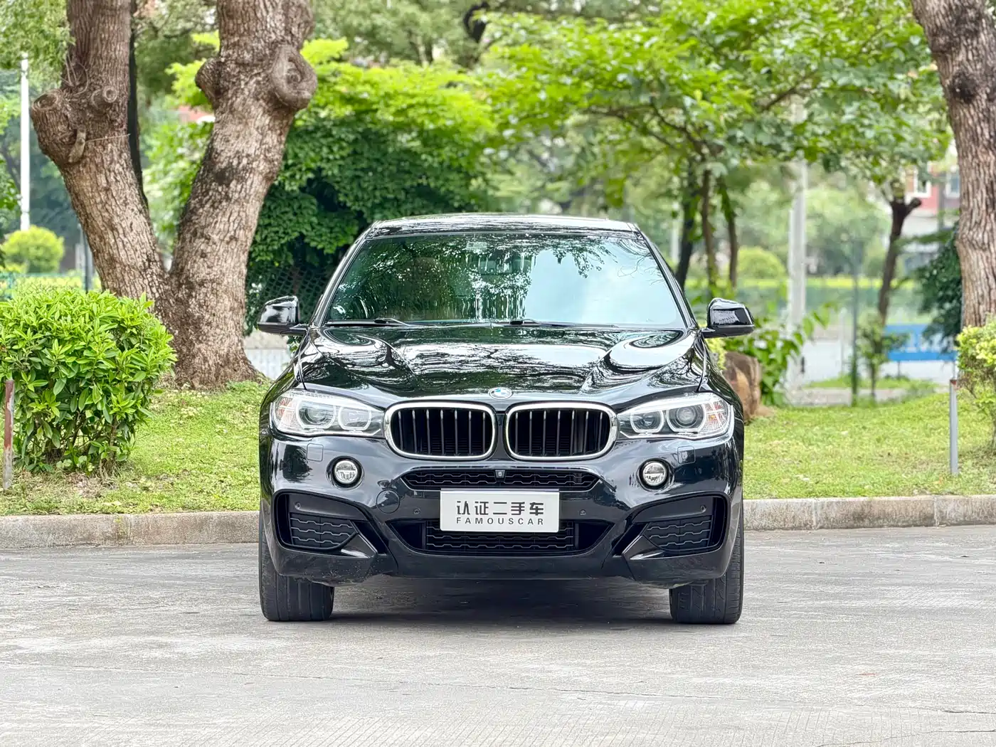 Фото 2 - BMW X6