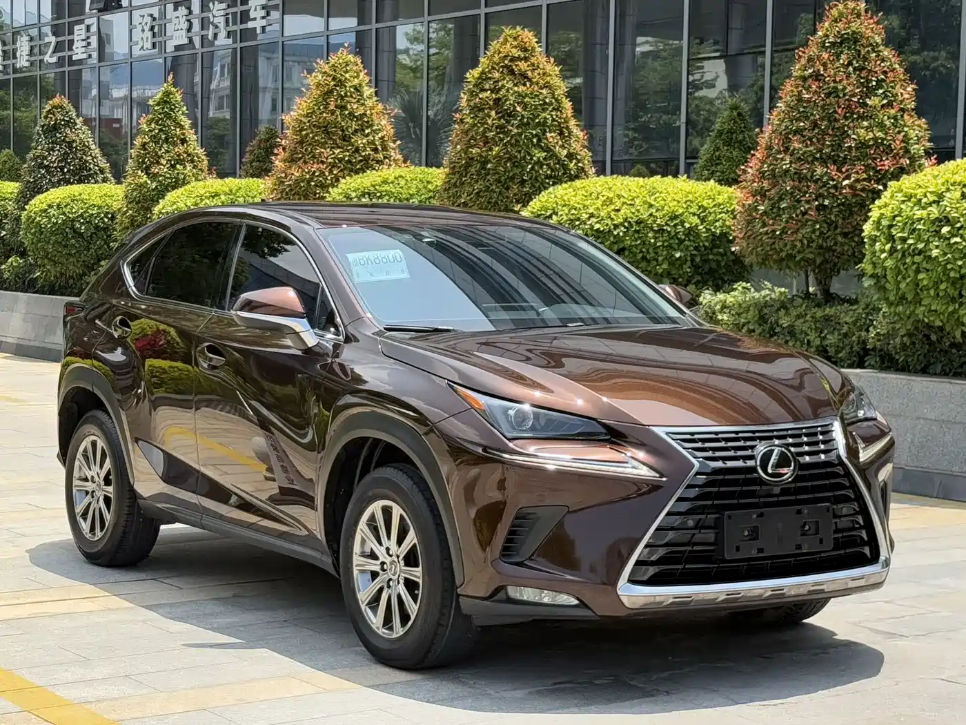 Lexus NX 2018 Model 200 FWD Fengxing Edition China V фото 3