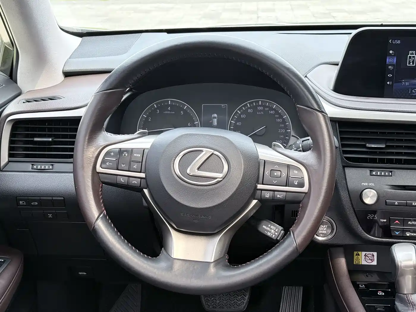 Lexus RX 2020 300 AWD Elegance Edition China V фото 10