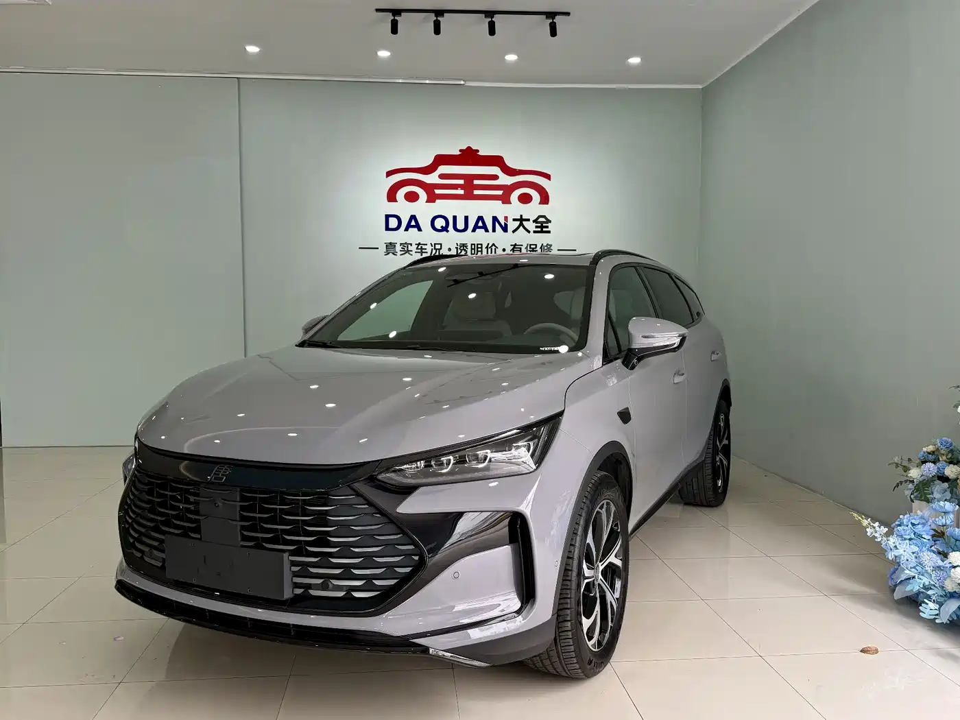 BYD Tang New Energy 2025 DM-i 115KM Flagship