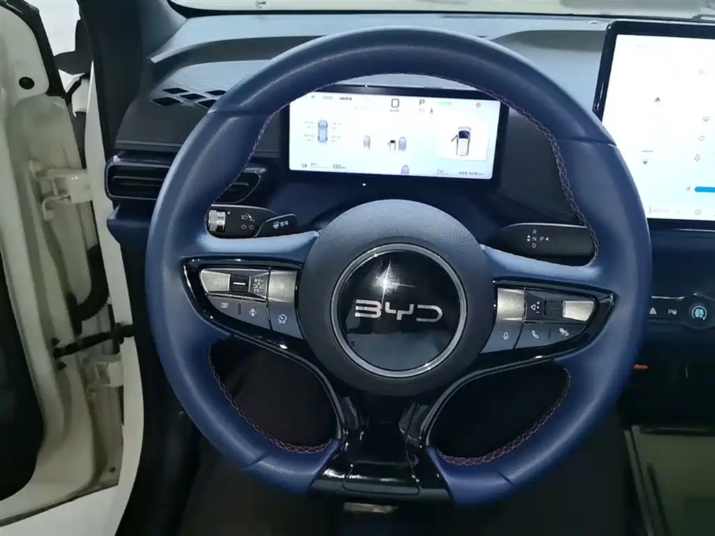 BYD Seagull 2025 Smart Drive Edition 305km Freedom Version фото 11
