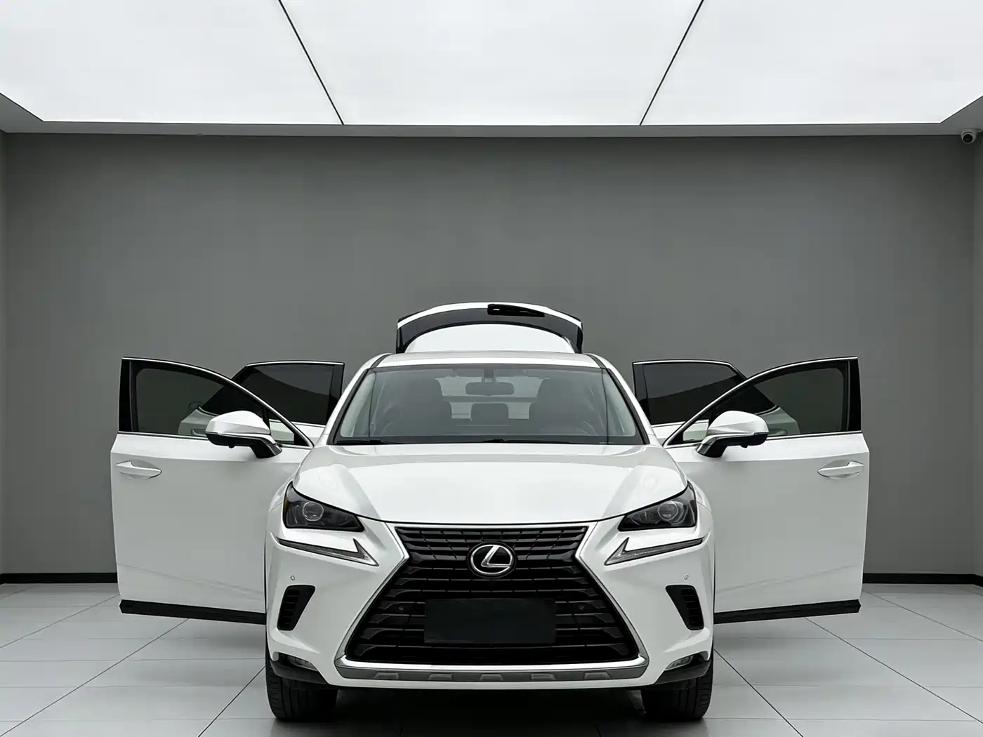 LEXUS NX