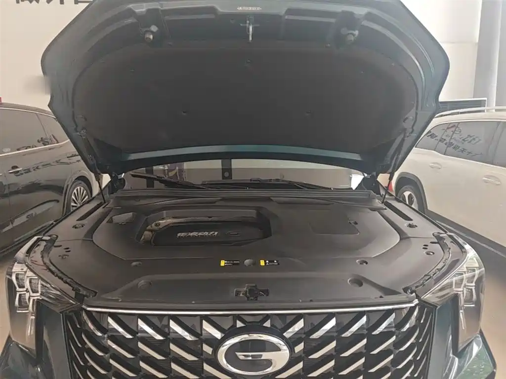 GAC Trumpchi Trumpchi GS8 2022 Pilot Series 2.0TGDI 2WD Premium Edition (6-Seater) фото 20