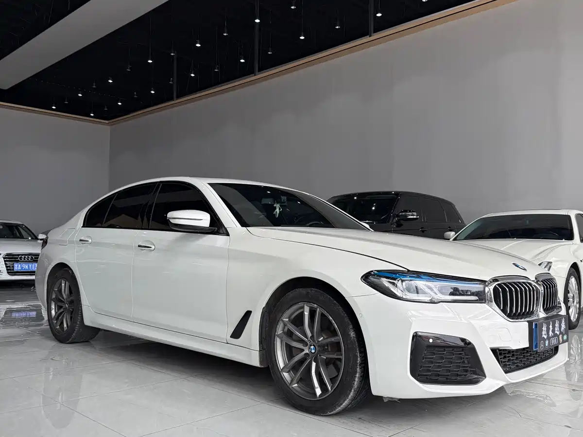 BMW 5 Series (Import) 2018 525i M Sport Package фото 3